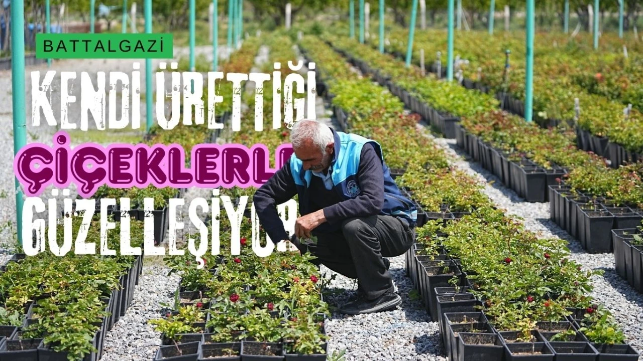 Battalgazi Belediyesi Park ve Bahçeler Müdürlüğü, havaların ısınmasıyla birlikte yeşil alanlarda yoğun bir peyzaj ve üretim sürecine girdi.