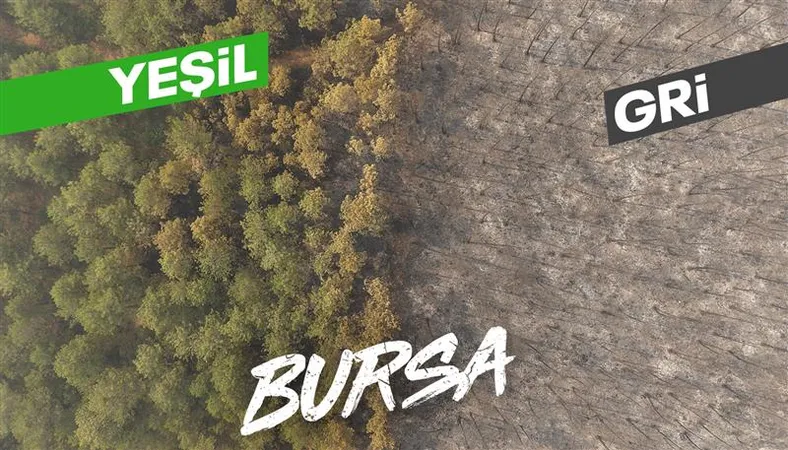 Bursa'daki orman yangını 4. gününde sürerken, yanan alanlar havadan görüntülendi