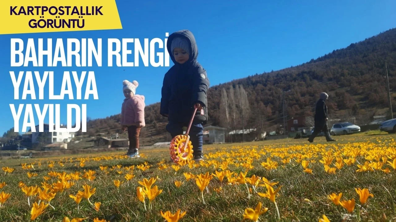 Kartpostallık g&ouml;r&uuml;nt&uuml;! Baharın rengi yaylaya yayıldı