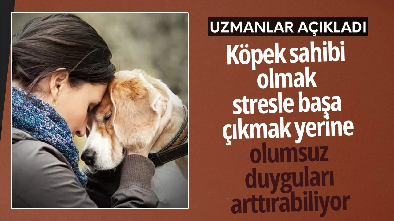 'K&ouml;pek sahibi olmak stresle başa &ccedil;ıkmak yerine olumsuz duyguları artırabiliyor!'