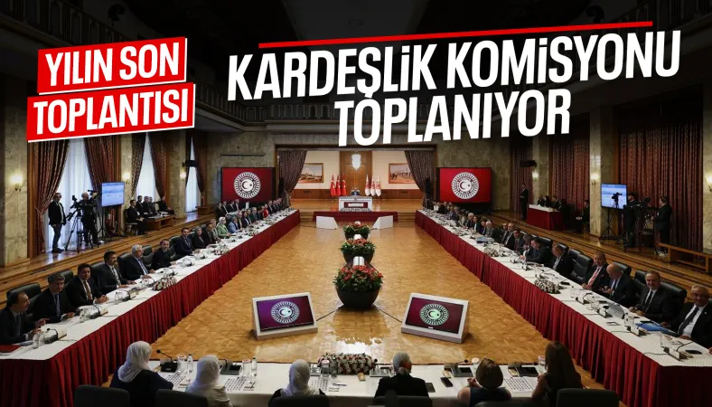 Ter&ouml;rs&uuml;z T&uuml;rkiye komisyonu bir kez daha toplanacak