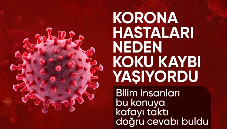 Araştırmalar sonuç verdi: Kovid-19'un kalıcı koku kaybıyla bağlantısı çözüldü