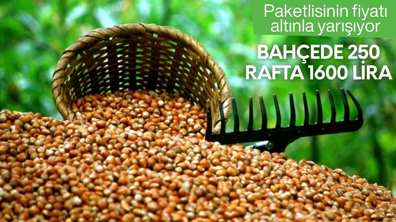 Bah&ccedil;ede 250, rafta 1600 lira! Paketlisinin fiyatı altınla yarışıyor