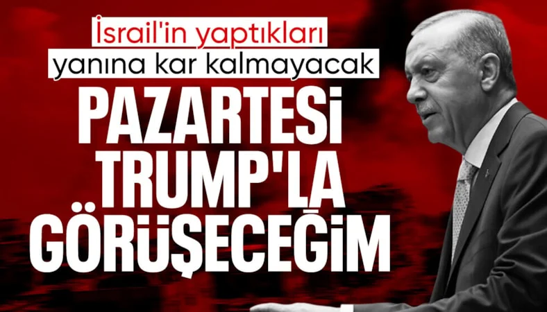 Cumhurbaşkanı Erdoğan: Pazartesi g&uuml;n&uuml; Donald Trump ile g&ouml;r&uuml;şeceğim
