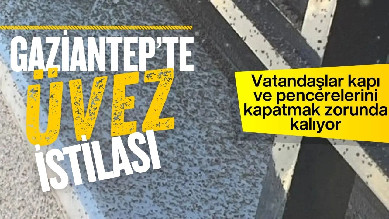 Gaziantep’te Üvez Kabusu: Üvez Kabusu BİTMİYOR BÜYÜYOR!
