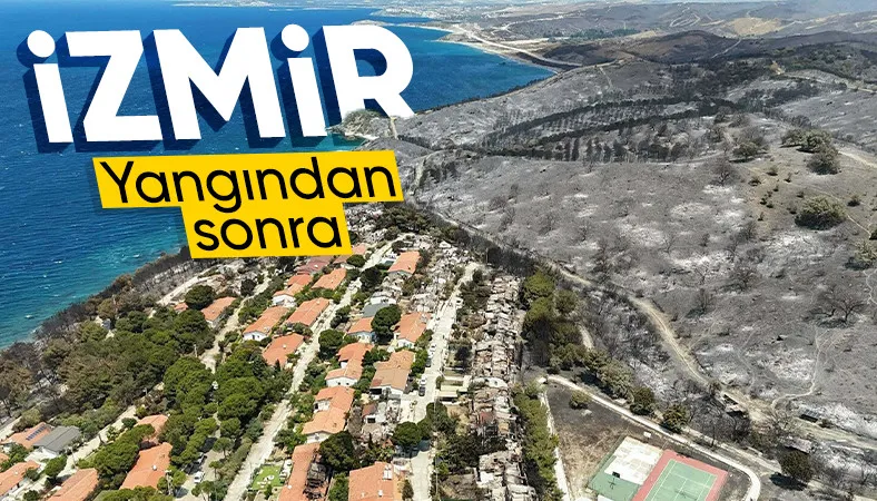 İzmir'de çıkan yangınlar sonrası yürek burkan kareler
