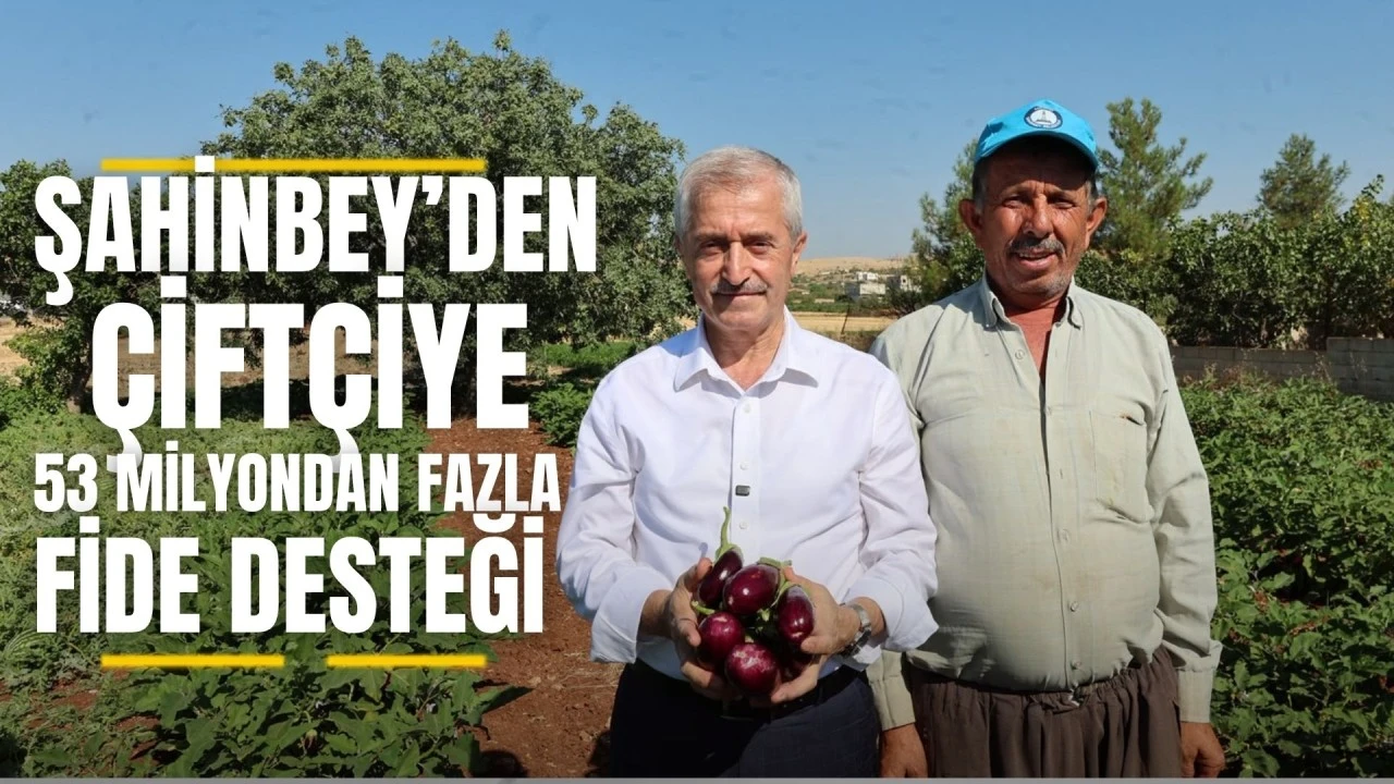 Şahinbey’den çiftçilere 53 milyon fide desteği
