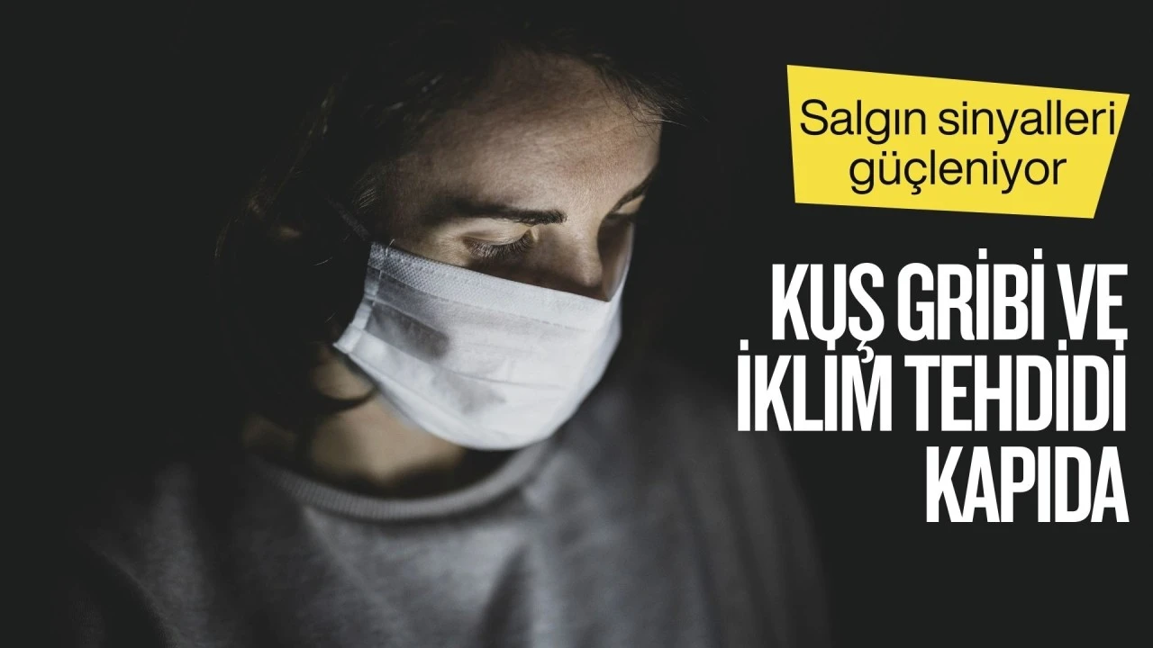 Salgın sinyalleri g&uuml;&ccedil;leniyor: Kuş gribi ve iklim tehdidi kapıda