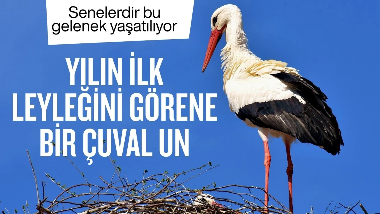 Senelerdir bu gelenek yaşatılıyor! Yılın ilk leyleğini g&ouml;rene bir &ccedil;uval un