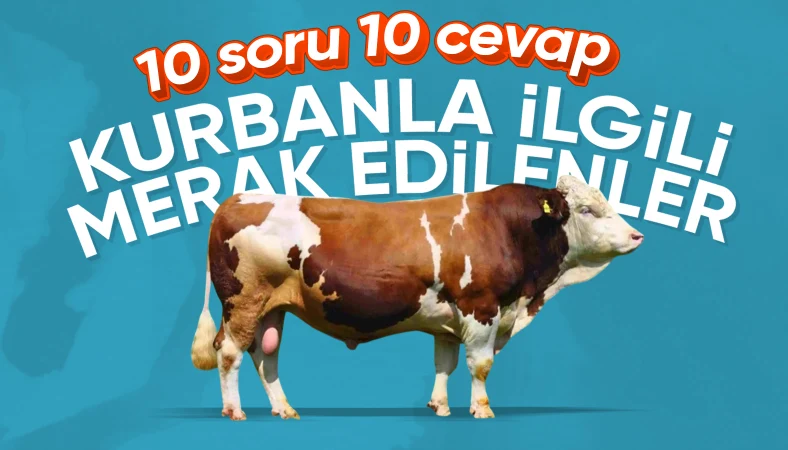 10 soruda kurbanla ilgili merak edilenler