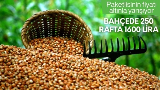 Bahçede 250, rafta 1600 lira! Paketlisinin fiyatı altınla yarışıyor