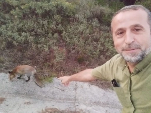 &Ccedil;anakkale&rsquo;de bir vatandaş a&ccedil; tilkiyi kendi elleriyle besledi