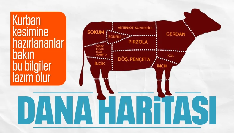 Dana haritası: Kurban etinin bölgelere göre kullanım rehberi