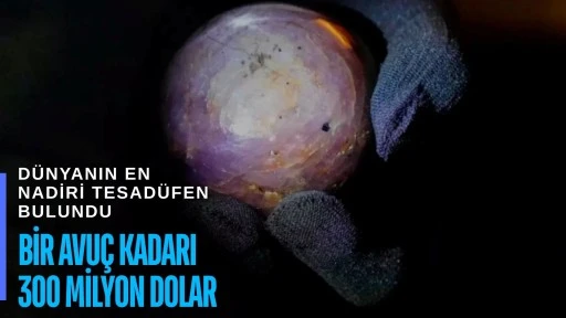 Dünyanın en nadiri tesadüfen bulundu: Bir avuç kadarı 300 milyon dolar!