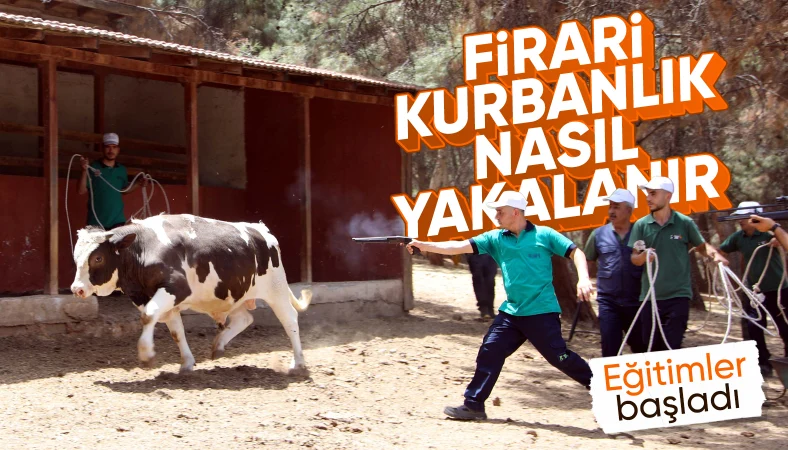Gaziantep'te 'kurban yakalama timi' bayrama hazır