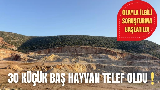 Haydarlar k&ouml;y&uuml;nde 30 tane k&uuml;&ccedil;&uuml;kbaş hayvan telef oldu. 