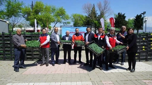 Kahramanmaraş B&uuml;y&uuml;kşehir&rsquo;den &Uuml;reticiye 650 Bin Hibe Biber Fidesi