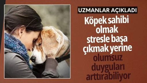 'K&ouml;pek sahibi olmak stresle başa &ccedil;ıkmak yerine olumsuz duyguları artırabiliyor!'