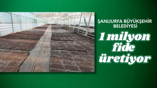 ŞANLIURFA BÜYÜKŞEHİR BELEDİYESİ 1 MİLYON FİDE ÜRETİYOR
