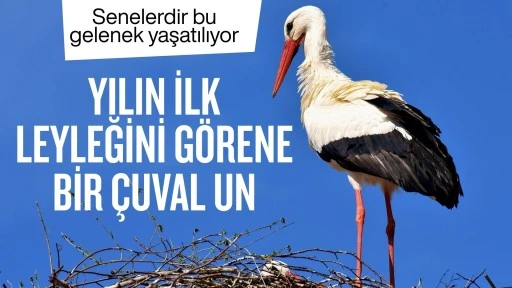 Senelerdir bu gelenek yaşatılıyor! Yılın ilk leyleğini görene bir çuval un
