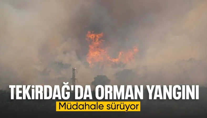 Tekirdağ'da anız yangını paniği: Alevler ormana sıçradı